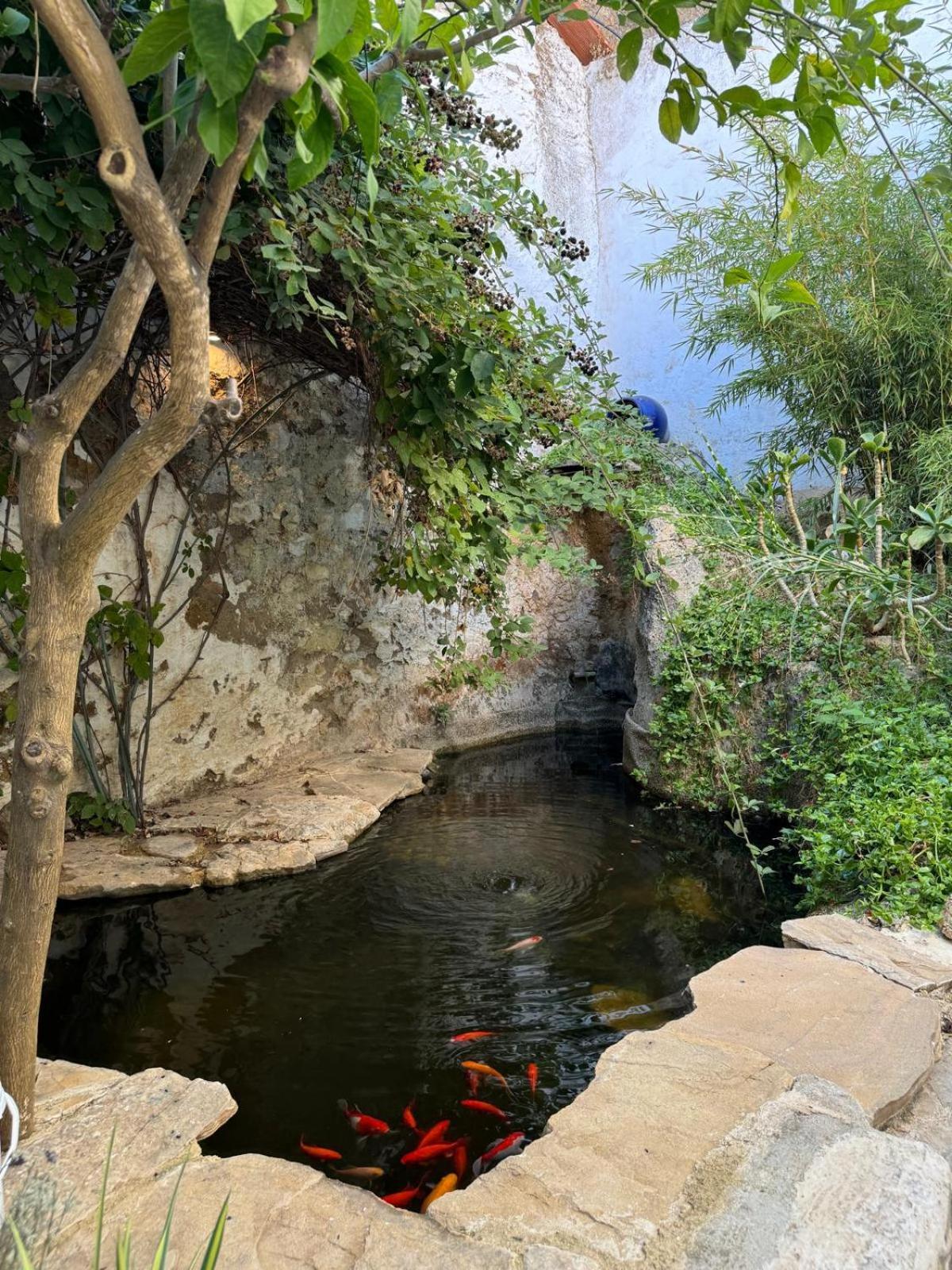 Despertar Villa Antequera Eksteriør bilde